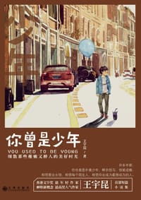 书籍 你曾是少年的封面