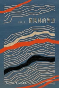 防风林的外边 - 黄启泰