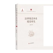 法律规范体系建设研究