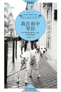 我在雨中等你