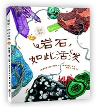 岩石，如此活泼 - [美]黛安娜•赫茨•阿斯顿 文