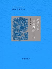 书籍 从异乡人到失落的一代的封面