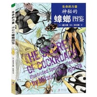 书籍 神秘的蟑螂图鉴的封面