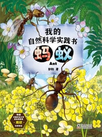 《我的自然科学实践书．蚂蚁》