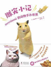 雕宠小记 : meetissai 的动物手办世界