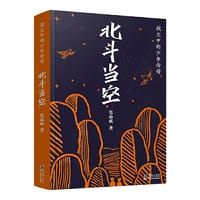 战火中的少年传奇·北斗当空