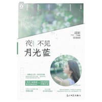 夜不见月光蓝 - 盛颖