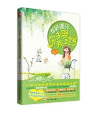 书籍 幸好遇见，你未娶我未嫁的封面