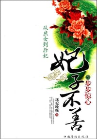 妃子不善1·步步惊心 - 坏妃晚晚