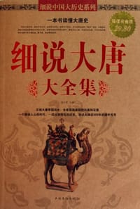 细说大唐大全集 - 周水琴 编