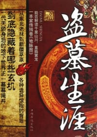 书籍 盗墓生涯的封面