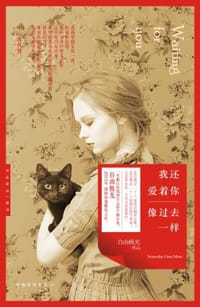 书籍 我还爱着你，像过去一样的封面