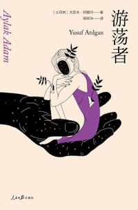 书籍 游荡者的封面