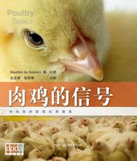 肉鸡的信号