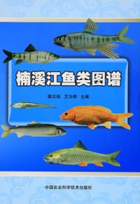 楠溪江鱼类图谱