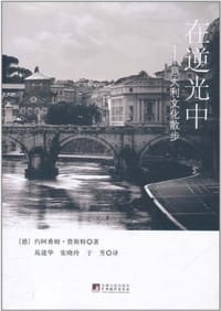 在逆光中 - （德）费斯特