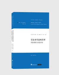 突发事件战略管理：风险管理与风险评估 - （美）保罗•布莱肯、艾安•布莱默、大卫•戈登