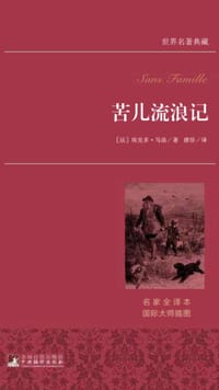 苦儿流浪记
