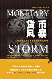 书籍 货币风暴的封面