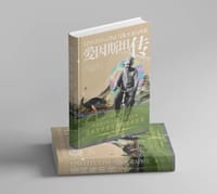 书籍 爱因斯坦传的封面