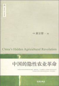 书籍 中国的隐性农业革命的封面