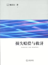 书籍 损失赔偿与救济的封面