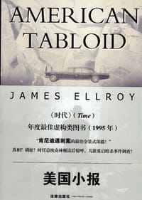 书籍 美国小报的封面
