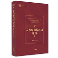 大律师办案实录10