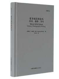 更多疯狂的念头