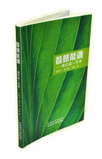 书籍 智慧能源我们这一万年的封面