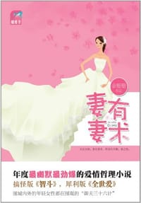 书籍 妻有妻术的封面