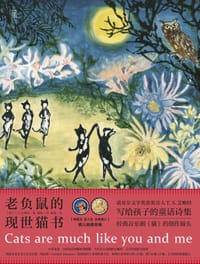 老负鼠的现世猫书