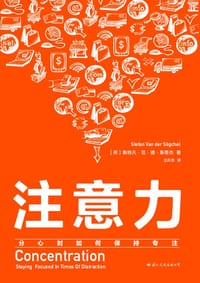 注意力 - [荷】斯特凡·范·德·斯蒂杰