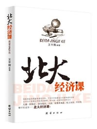 书籍 北大经济课的封面