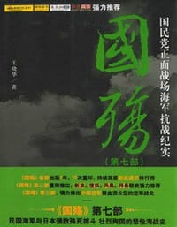 书籍 国殇（第七部）的封面