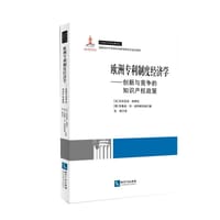书籍 欧洲专利制度经济学的封面