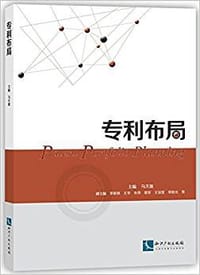 书籍 专利布局的封面