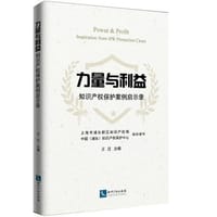 力量与利益：知识产权保护案例启示录
