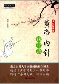 书籍 黄帝内针践行录的封面