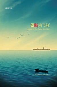 书籍 望断南飞雁的封面