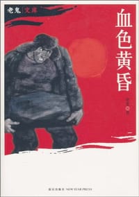 书籍 血色黄昏的封面