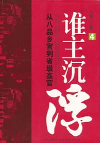 书籍 谁主沉浮4的封面