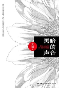黑暗的声音