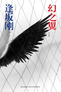 书籍 幻之翼的封面