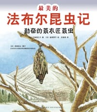 最美的法布尔昆虫记