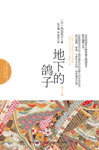 书籍 地下的鸽子的封面