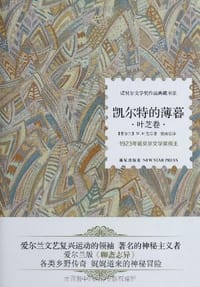 书籍 凯尔特的薄暮的封面