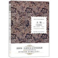 书籍 大街的封面