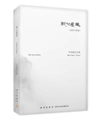 我心虚拟 - 毛培斌