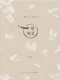 书籍 一碟腌菜的封面